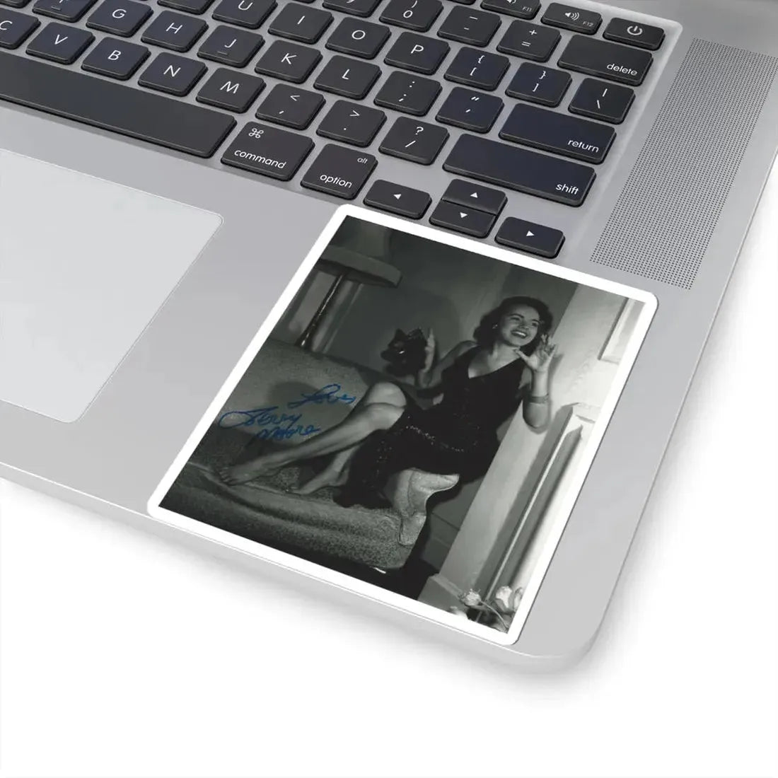 Terry Moore #424 (Vintage Female Icon) STICKER Vinyl Kiss-Cut Decal - The Sticker Space