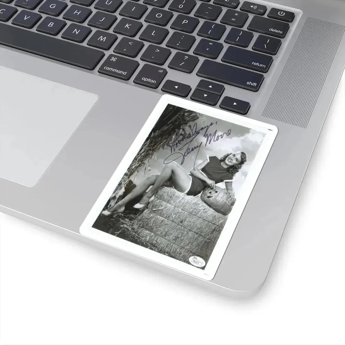 Terry Moore #427 (Vintage Female Icon) STICKER Vinyl Kiss-Cut Decal - The Sticker Space