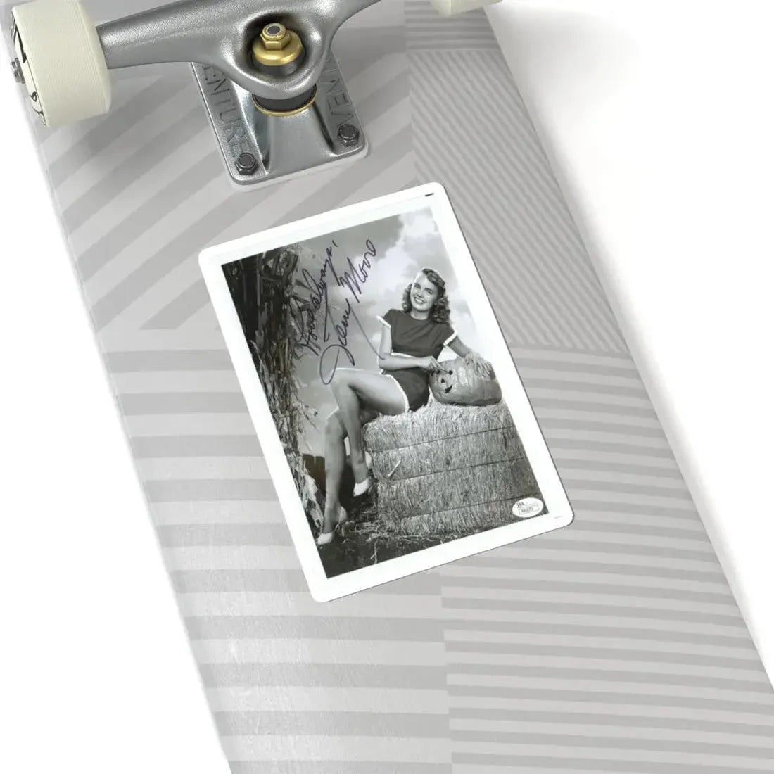 Terry Moore #427 (Vintage Female Icon) STICKER Vinyl Kiss-Cut Decal - The Sticker Space