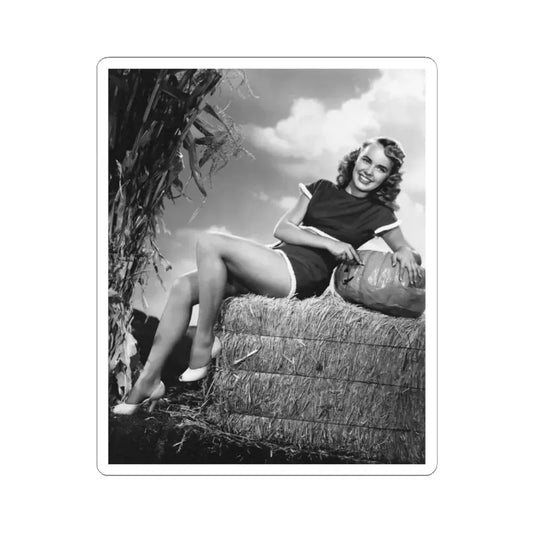 Terry Moore #428 (Vintage Female Icon) STICKER Vinyl Kiss-Cut Decal 2 Inch White - The Sticker Space