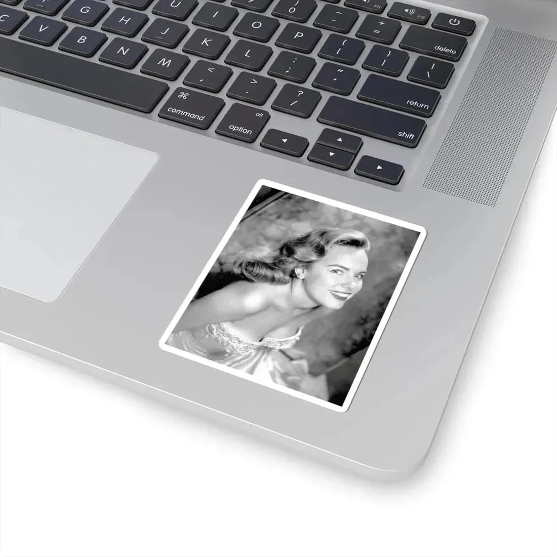 Terry Moore #4311 (Vintage Female Icon) STICKER Vinyl Kiss-Cut Decal - The Sticker Space