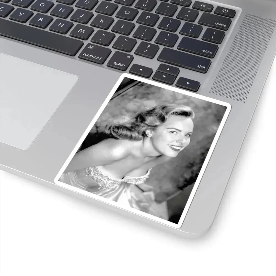 Terry Moore #4311 (Vintage Female Icon) STICKER Vinyl Kiss-Cut Decal - The Sticker Space
