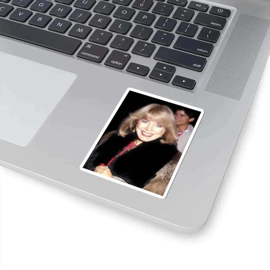 Terry Moore #476 (Vintage Female Icon) STICKER Vinyl Kiss-Cut Decal - The Sticker Space