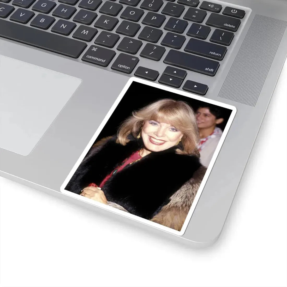 Terry Moore #476 (Vintage Female Icon) STICKER Vinyl Kiss-Cut Decal - The Sticker Space