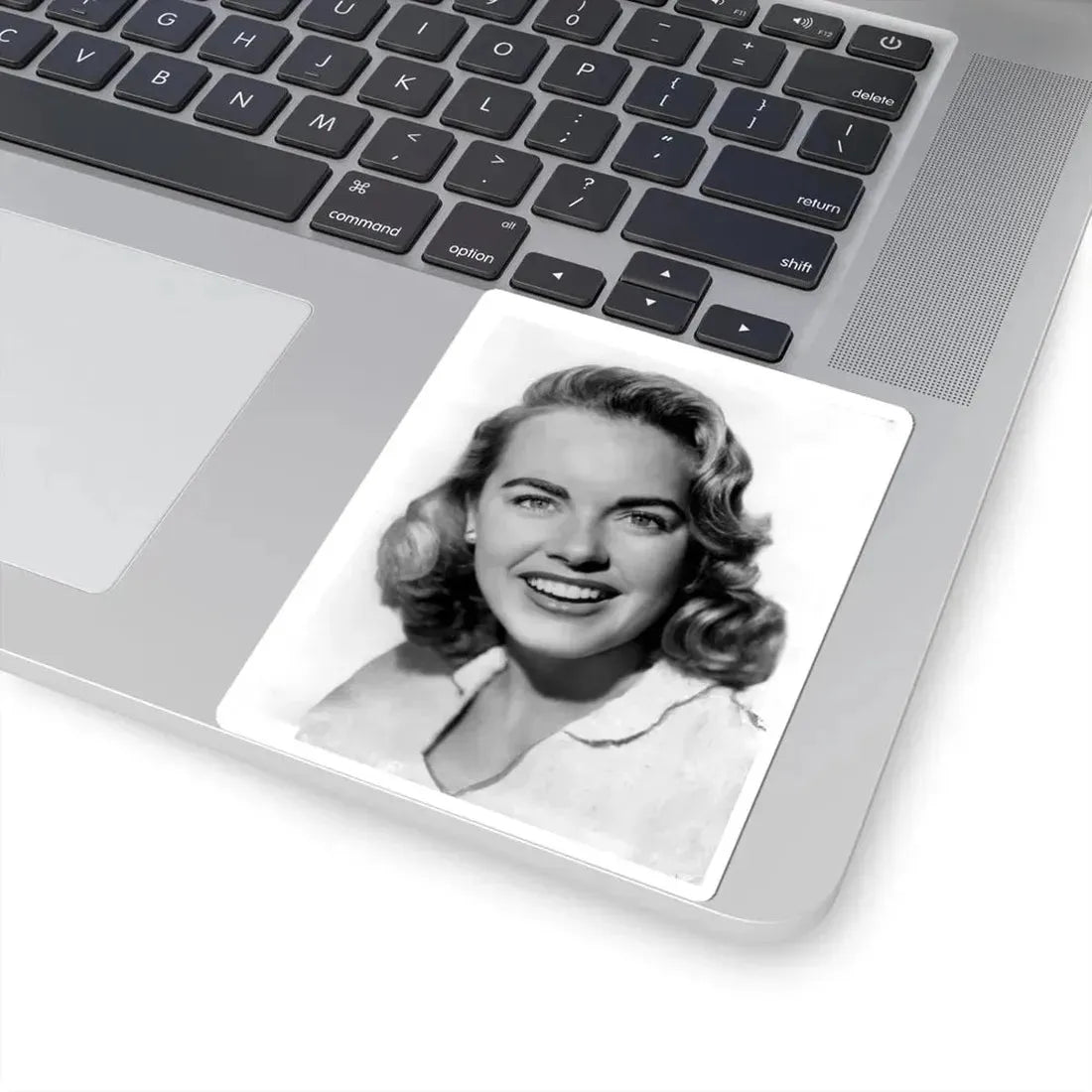 Terry Moore #482 (Vintage Female Icon) STICKER Vinyl Kiss-Cut Decal - The Sticker Space