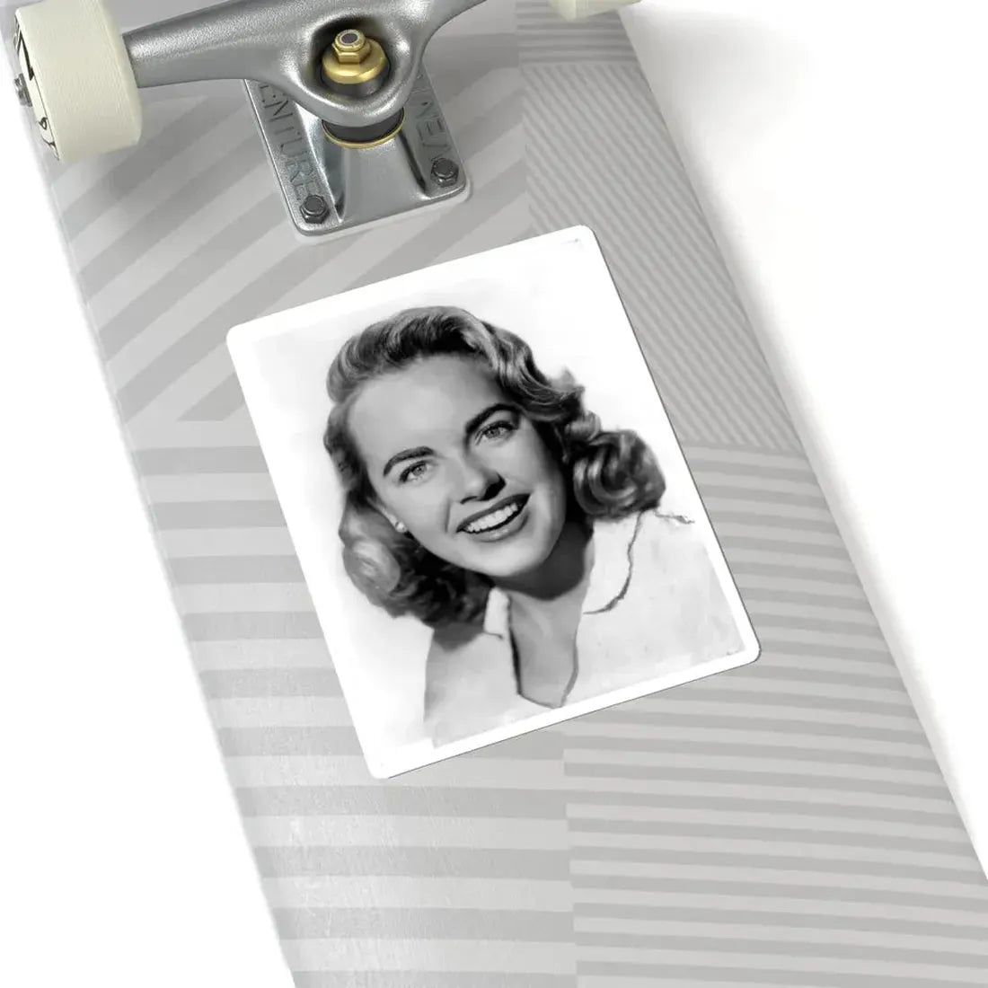 Terry Moore #4821 (Vintage Female Icon) STICKER Vinyl Kiss-Cut Decal - The Sticker Space