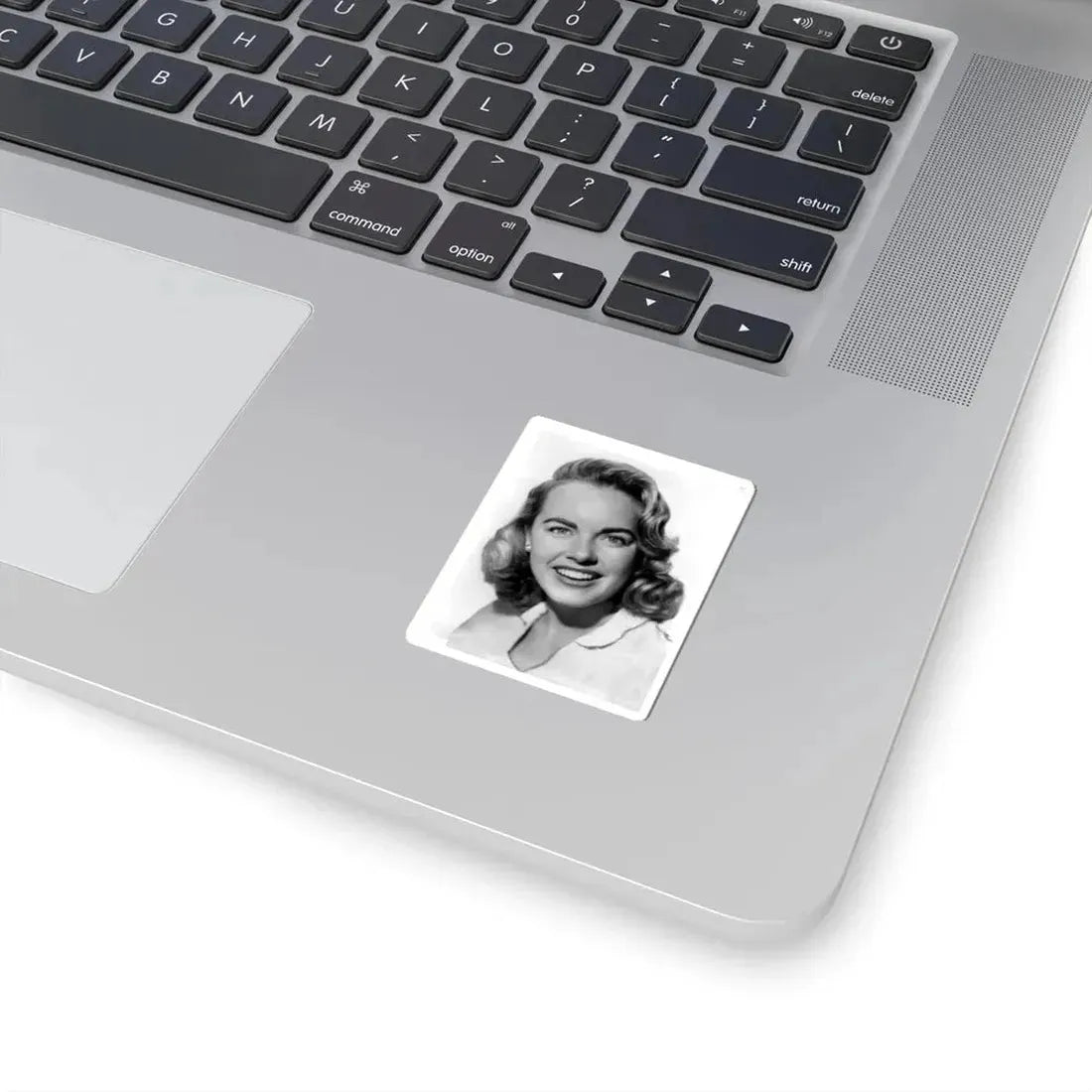 Terry Moore #4821 (Vintage Female Icon) STICKER Vinyl Kiss-Cut Decal - The Sticker Space