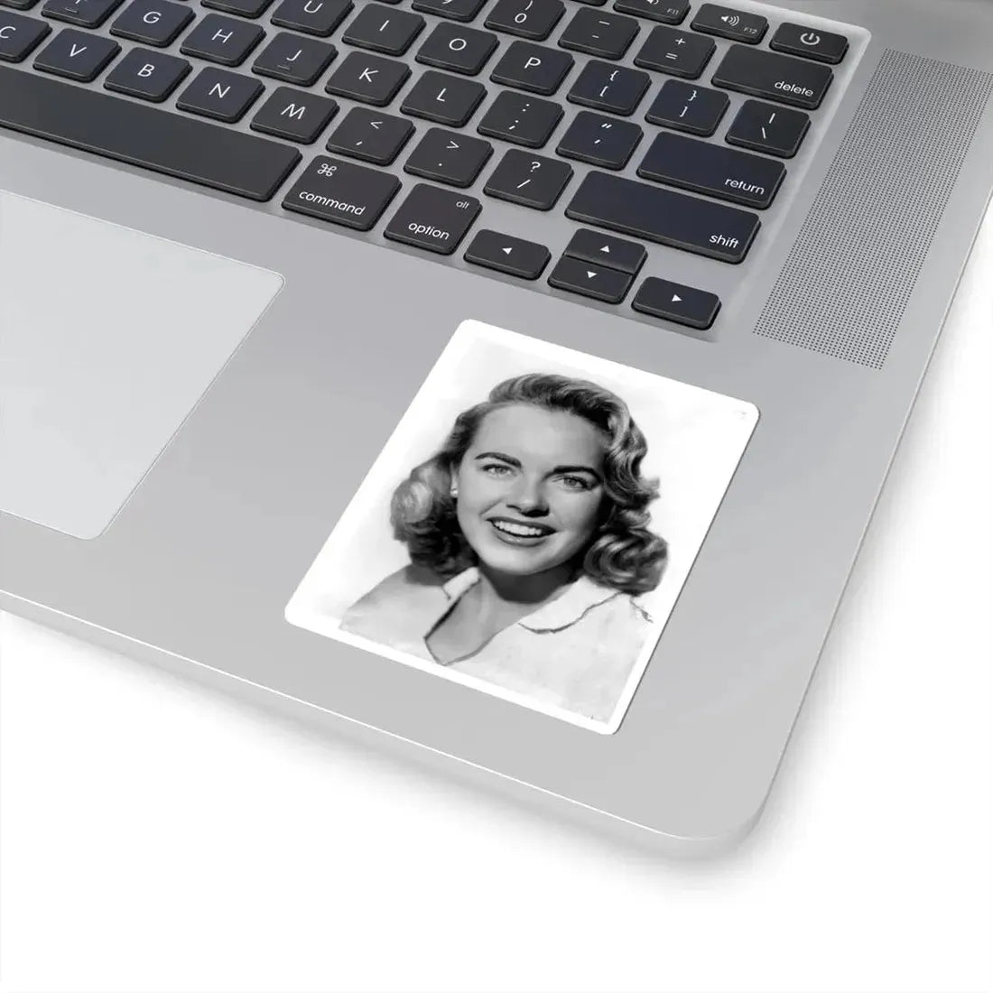 Terry Moore #4821 (Vintage Female Icon) STICKER Vinyl Kiss-Cut Decal - The Sticker Space