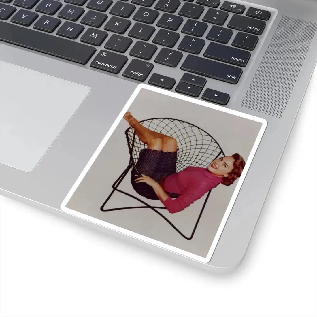 Terry Moore #485 (Vintage Female Icon) STICKER Vinyl Kiss-Cut Decal - The Sticker Space