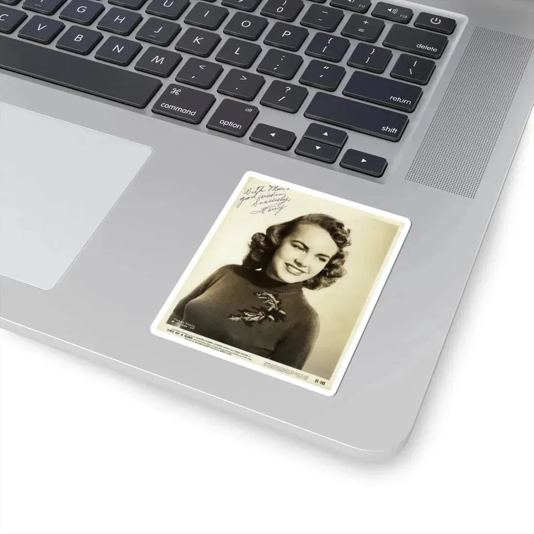 Terry Moore #487 (Vintage Female Icon) STICKER Vinyl Kiss-Cut Decal - The Sticker Space