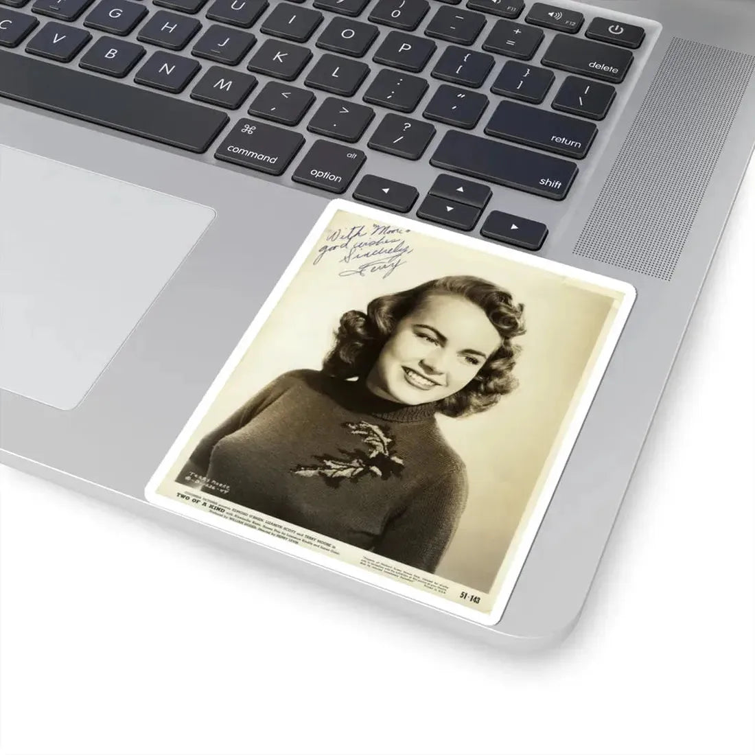 Terry Moore #487 (Vintage Female Icon) STICKER Vinyl Kiss-Cut Decal - The Sticker Space