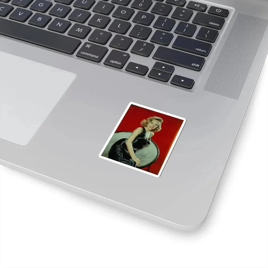 Terry Moore #494 (Vintage Female Icon) STICKER Vinyl Kiss-Cut Decal - The Sticker Space