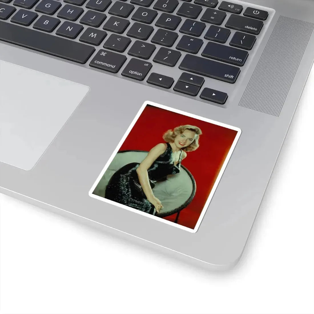 Terry Moore #494 (Vintage Female Icon) STICKER Vinyl Kiss-Cut Decal - The Sticker Space