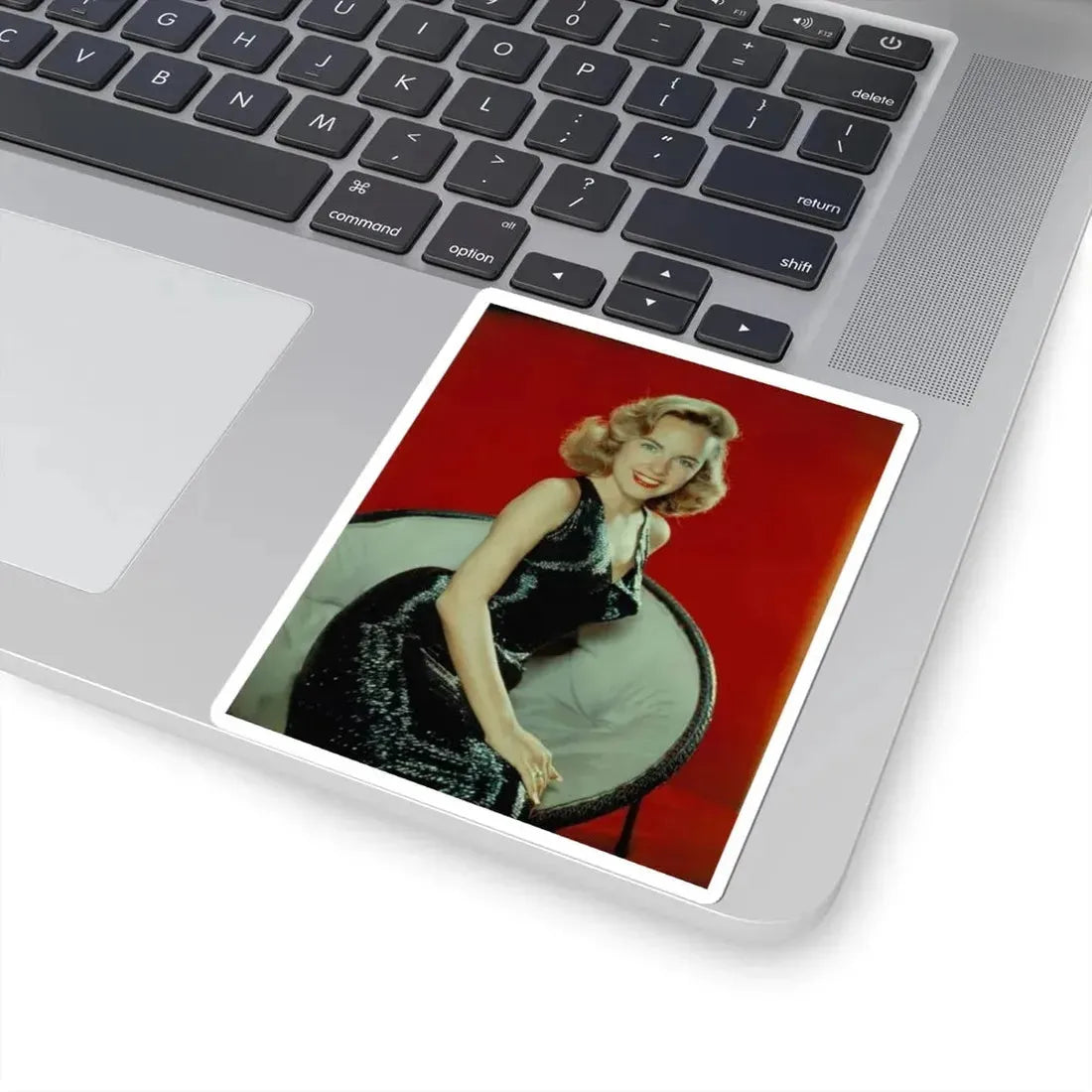 Terry Moore #494 (Vintage Female Icon) STICKER Vinyl Kiss-Cut Decal - The Sticker Space