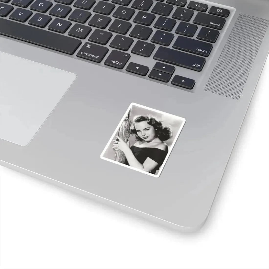 Terry Moore #4991 (Vintage Female Icon) STICKER Vinyl Kiss-Cut Decal - The Sticker Space