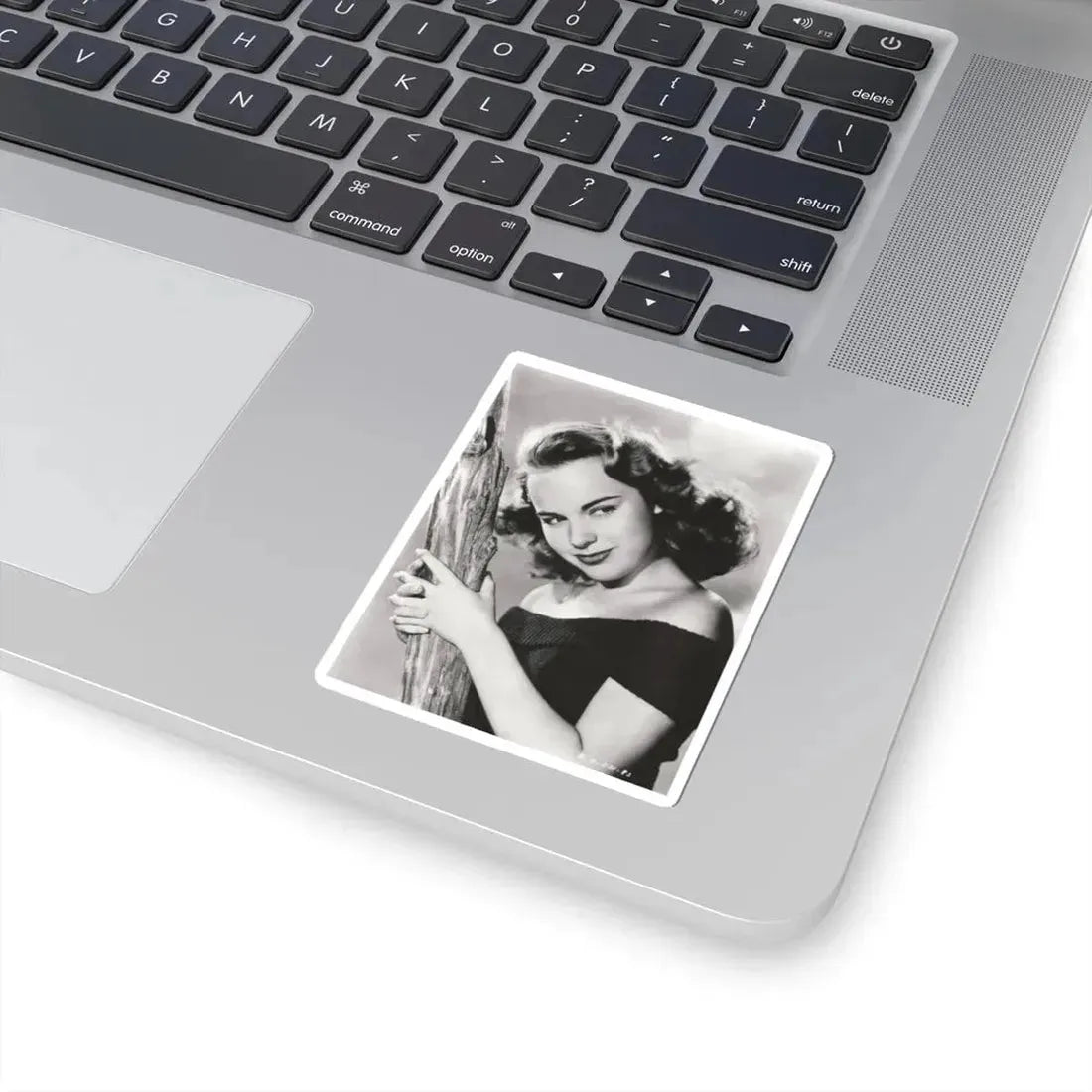 Terry Moore #4991 (Vintage Female Icon) STICKER Vinyl Kiss-Cut Decal - The Sticker Space