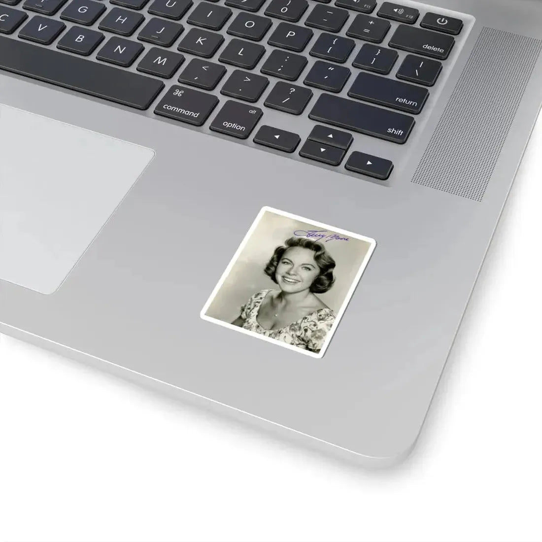 Terry Moore #500 (Vintage Female Icon) STICKER Vinyl Kiss-Cut Decal - The Sticker Space