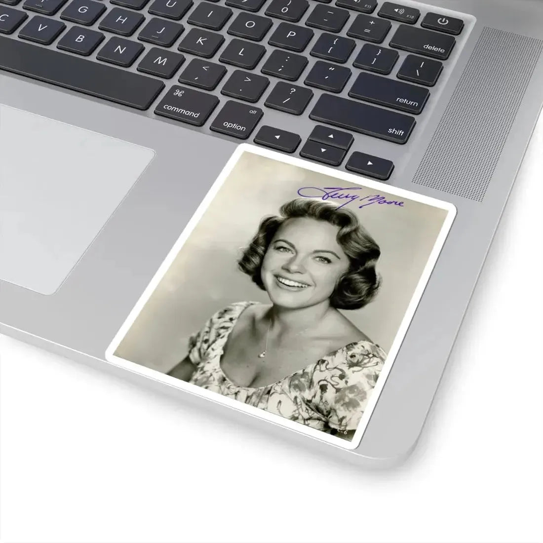 Terry Moore #500 (Vintage Female Icon) STICKER Vinyl Kiss-Cut Decal - The Sticker Space