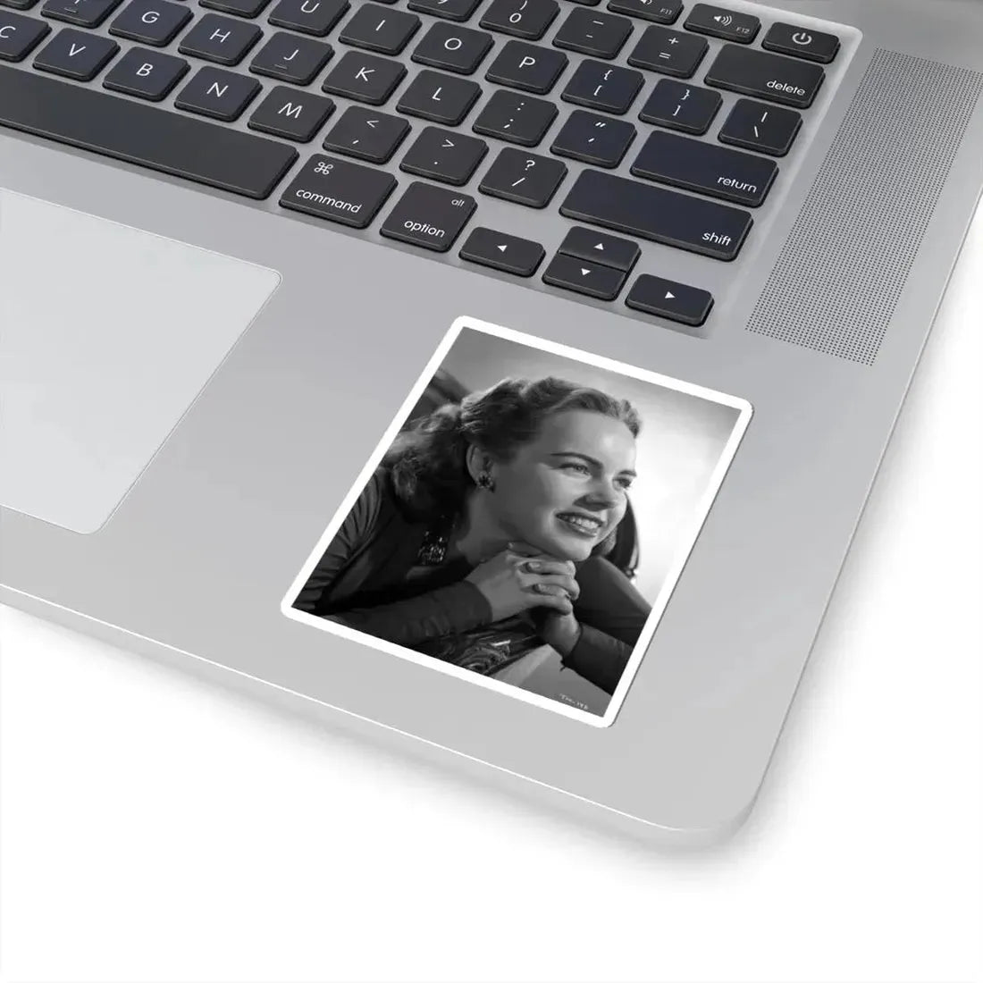 Terry Moore #5471 (Vintage Female Icon) STICKER Vinyl Kiss-Cut Decal - The Sticker Space