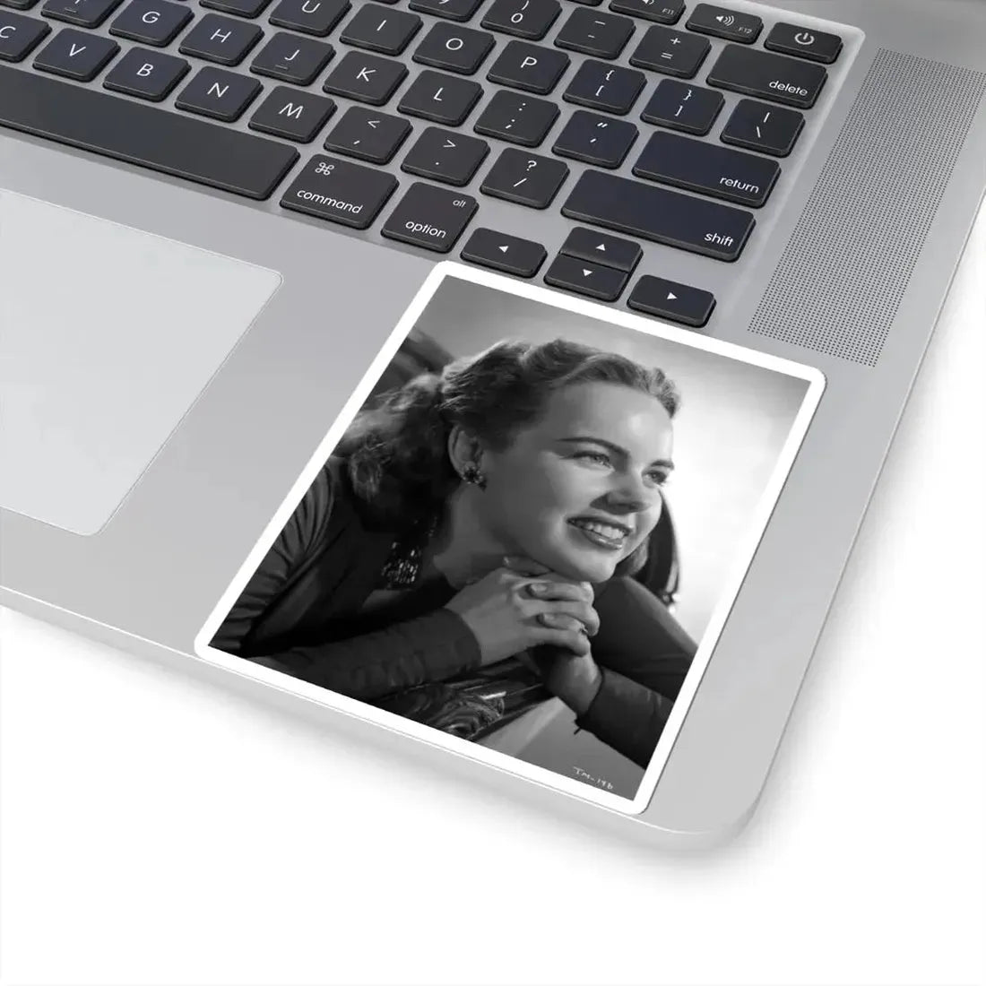 Terry Moore #5471 (Vintage Female Icon) STICKER Vinyl Kiss-Cut Decal - The Sticker Space