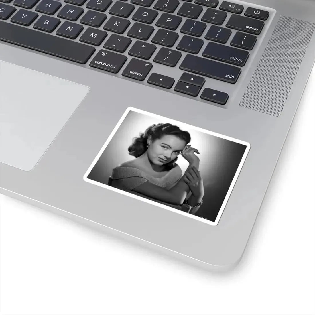 Terry Moore #550 (Vintage Female Icon) STICKER Vinyl Kiss-Cut Decal - The Sticker Space