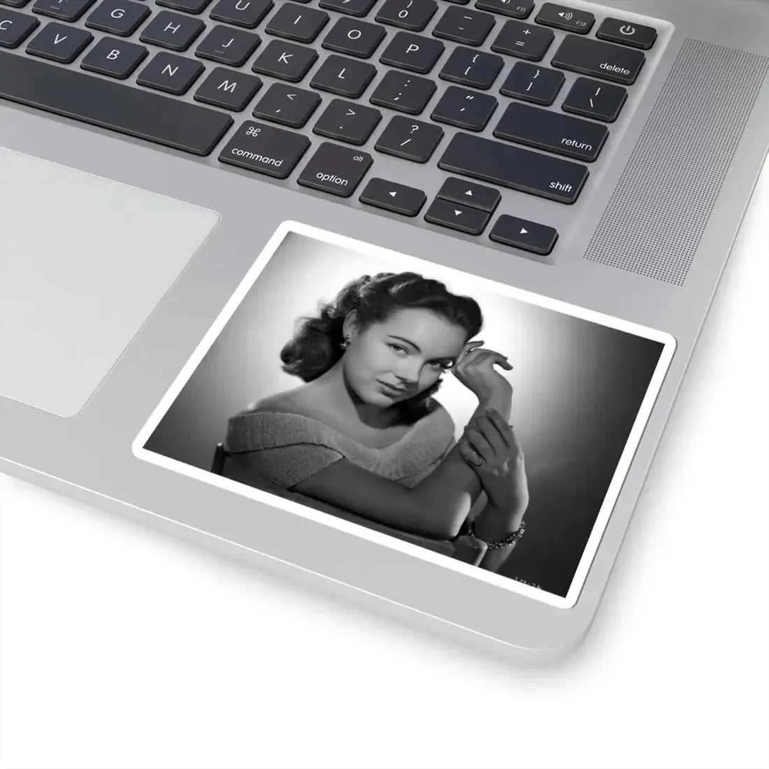 Terry Moore #550 (Vintage Female Icon) STICKER Vinyl Kiss-Cut Decal - The Sticker Space