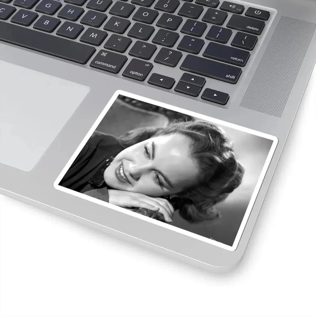 Terry Moore #552 (Vintage Female Icon) STICKER Vinyl Kiss-Cut Decal - The Sticker Space