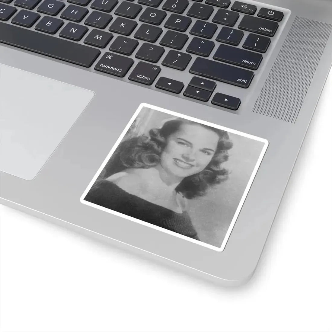 Terry Moore #570 (Vintage Female Icon) STICKER Vinyl Kiss-Cut Decal - The Sticker Space