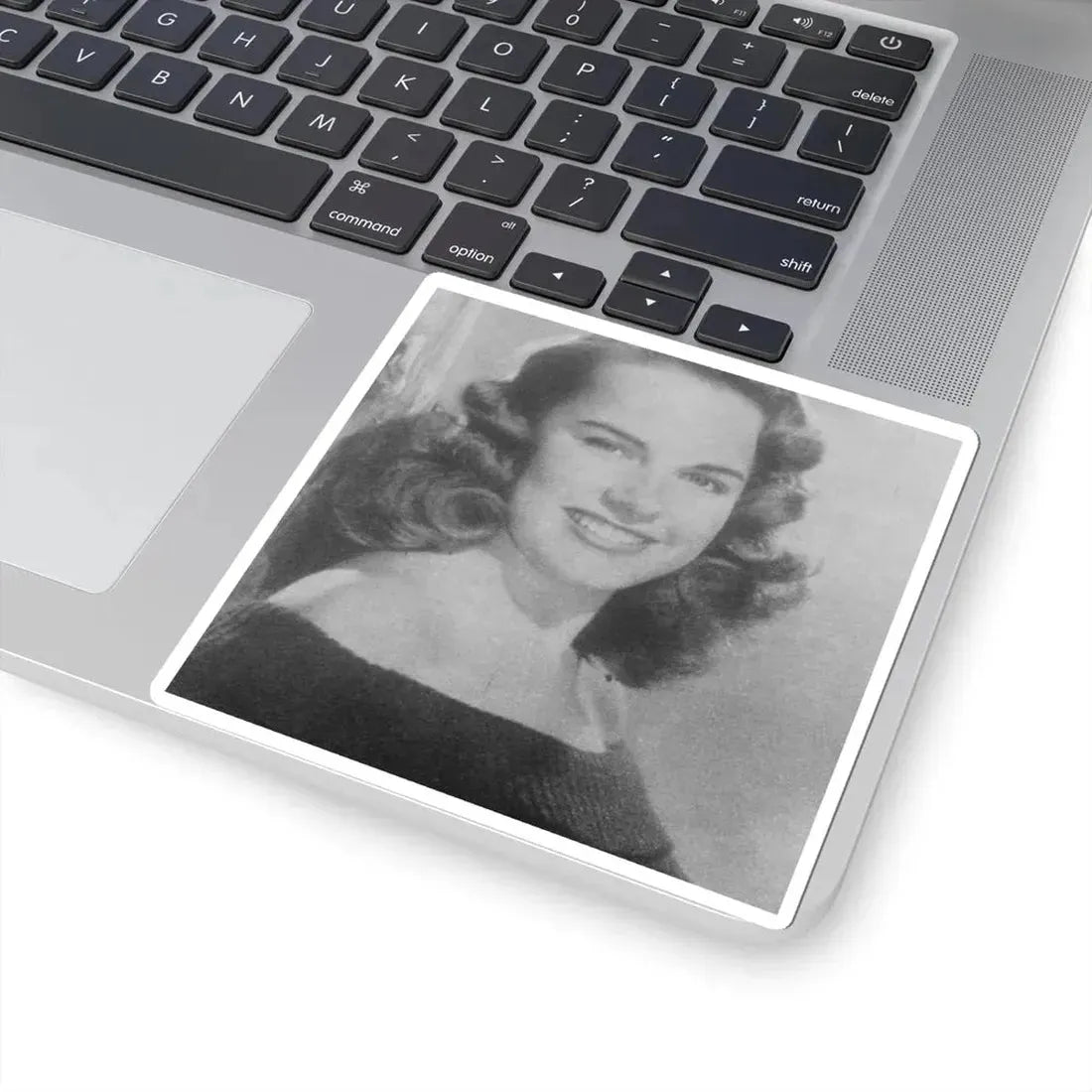 Terry Moore #570 (Vintage Female Icon) STICKER Vinyl Kiss-Cut Decal - The Sticker Space