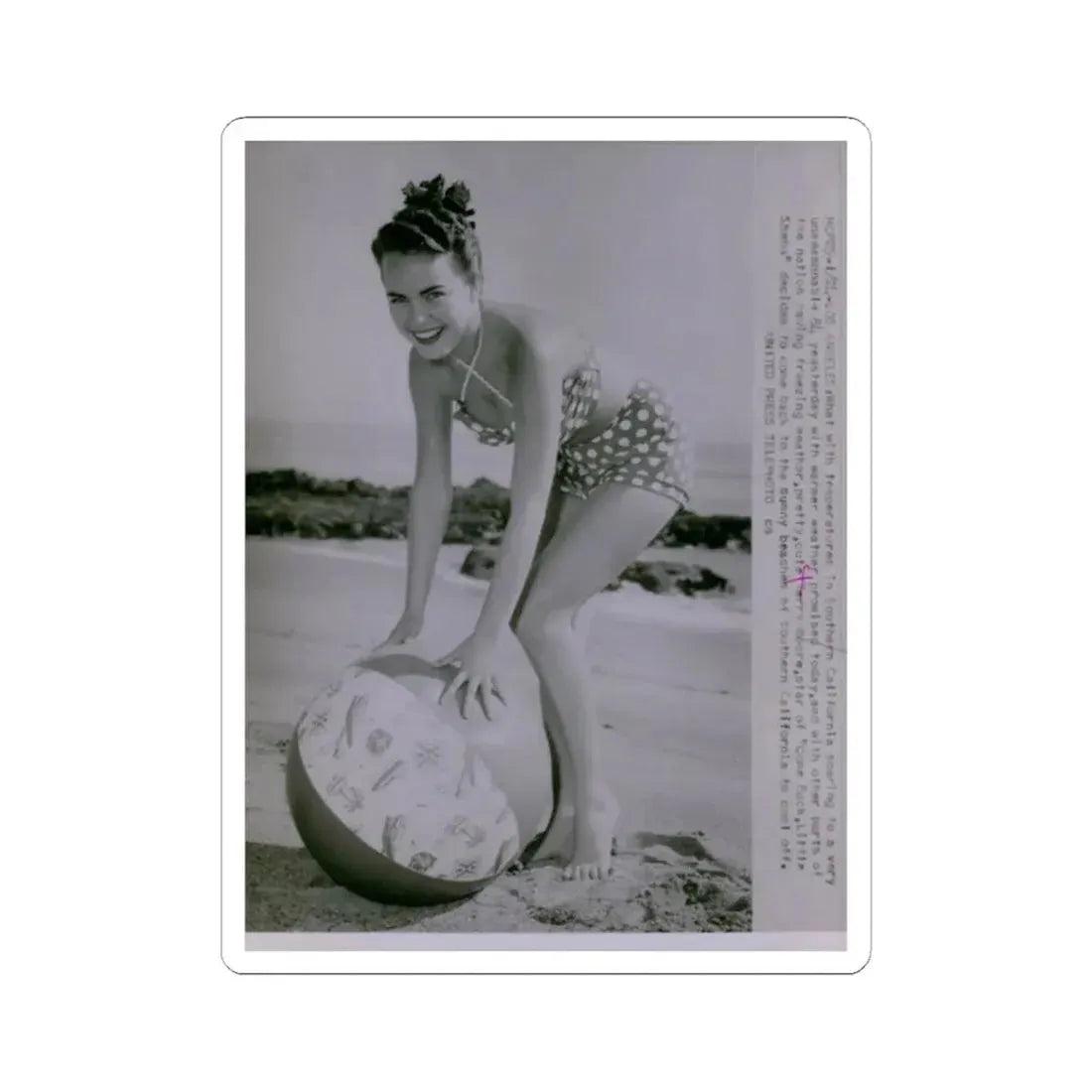 Terry Moore #571 (Vintage Female Icon) STICKER Vinyl Kiss-Cut Decal 2 Inch White - The Sticker Space