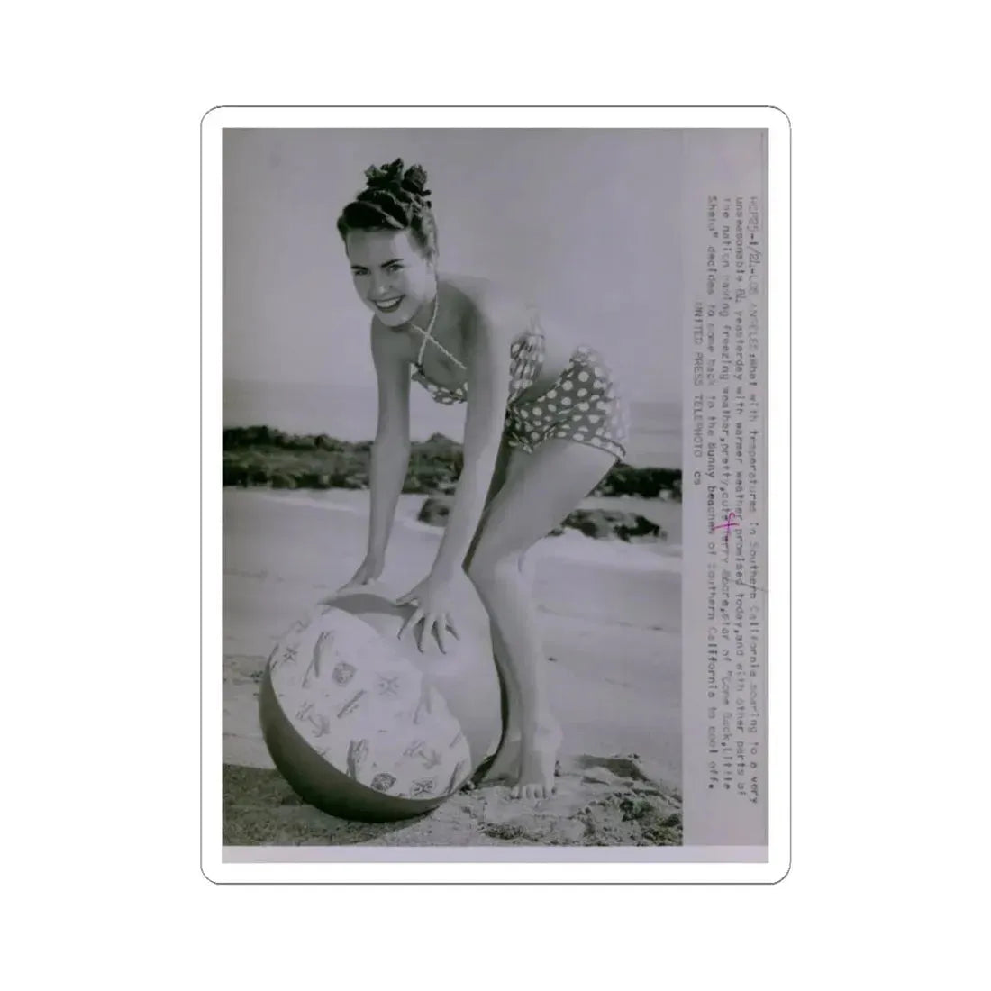 Terry Moore #571 (Vintage Female Icon) STICKER Vinyl Kiss-Cut Decal 3 Inch White - The Sticker Space