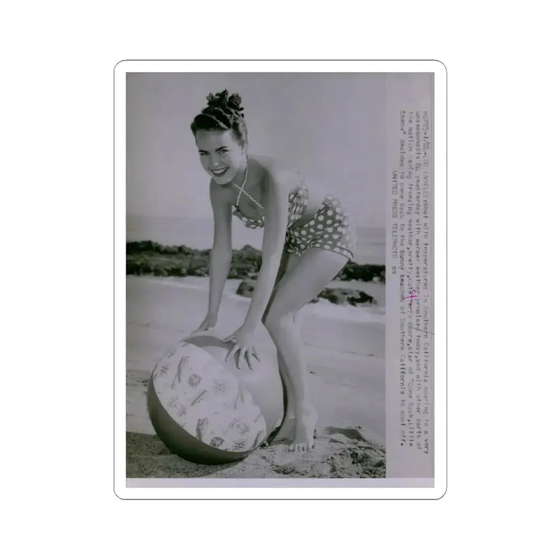 Terry Moore #571 (Vintage Female Icon) STICKER Vinyl Kiss-Cut Decal 4 Inch White - The Sticker Space