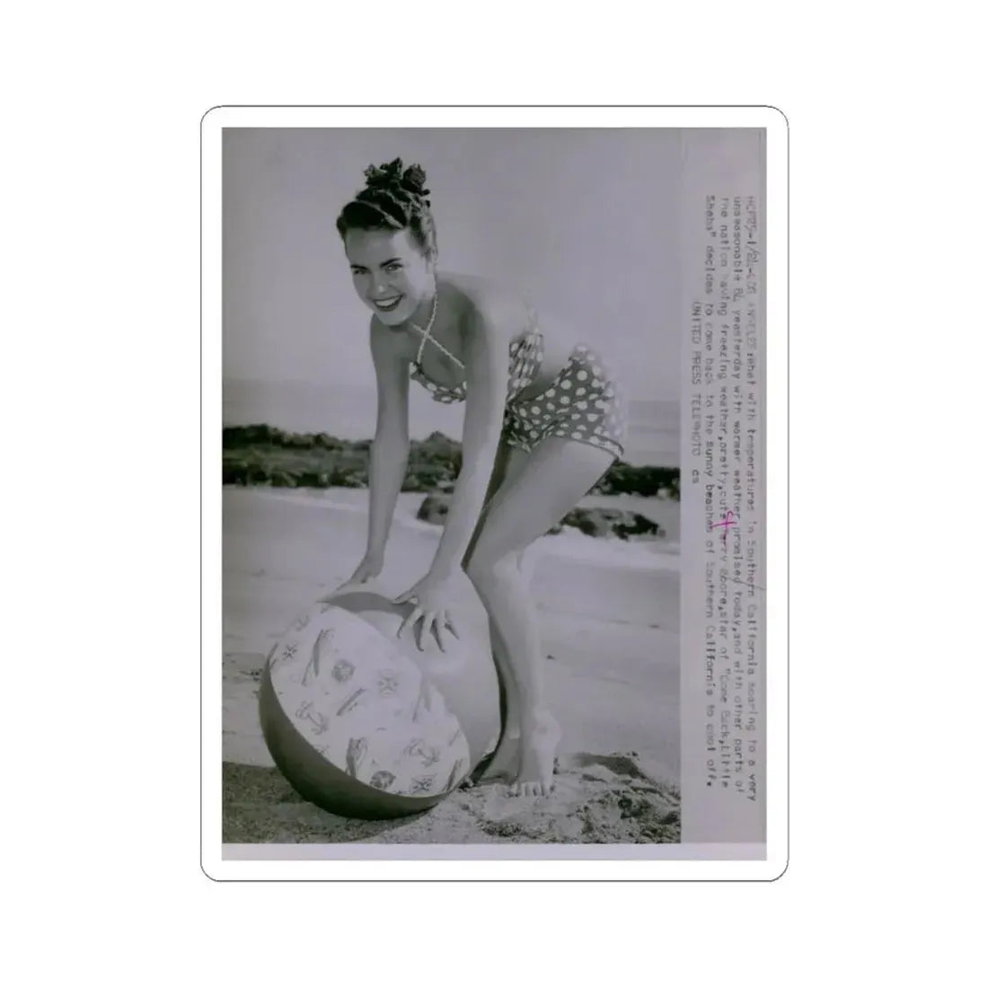 Terry Moore #571 (Vintage Female Icon) STICKER Vinyl Kiss-Cut Decal 6 Inch White - The Sticker Space