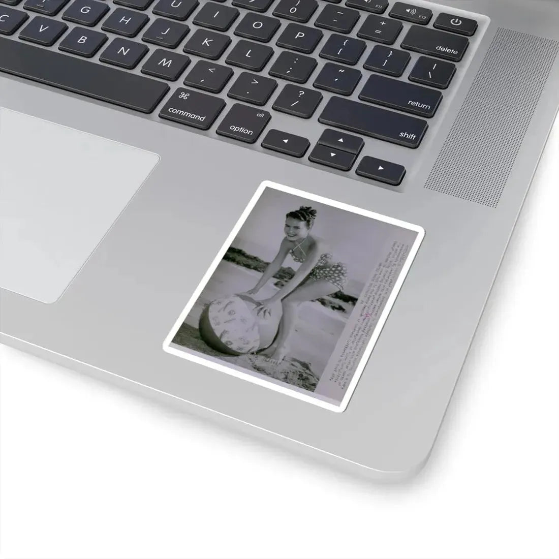 Terry Moore #571 (Vintage Female Icon) STICKER Vinyl Kiss-Cut Decal - The Sticker Space