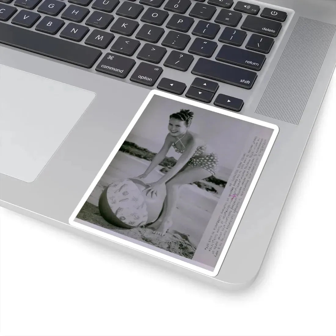 Terry Moore #571 (Vintage Female Icon) STICKER Vinyl Kiss-Cut Decal - The Sticker Space