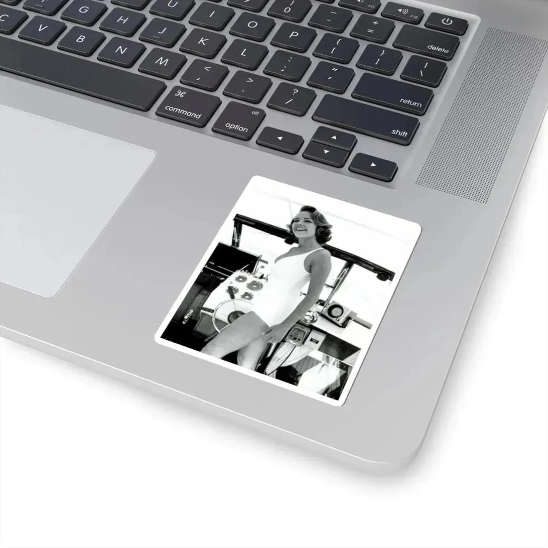 Terry Moore #578 (Vintage Female Icon) STICKER Vinyl Kiss-Cut Decal - The Sticker Space