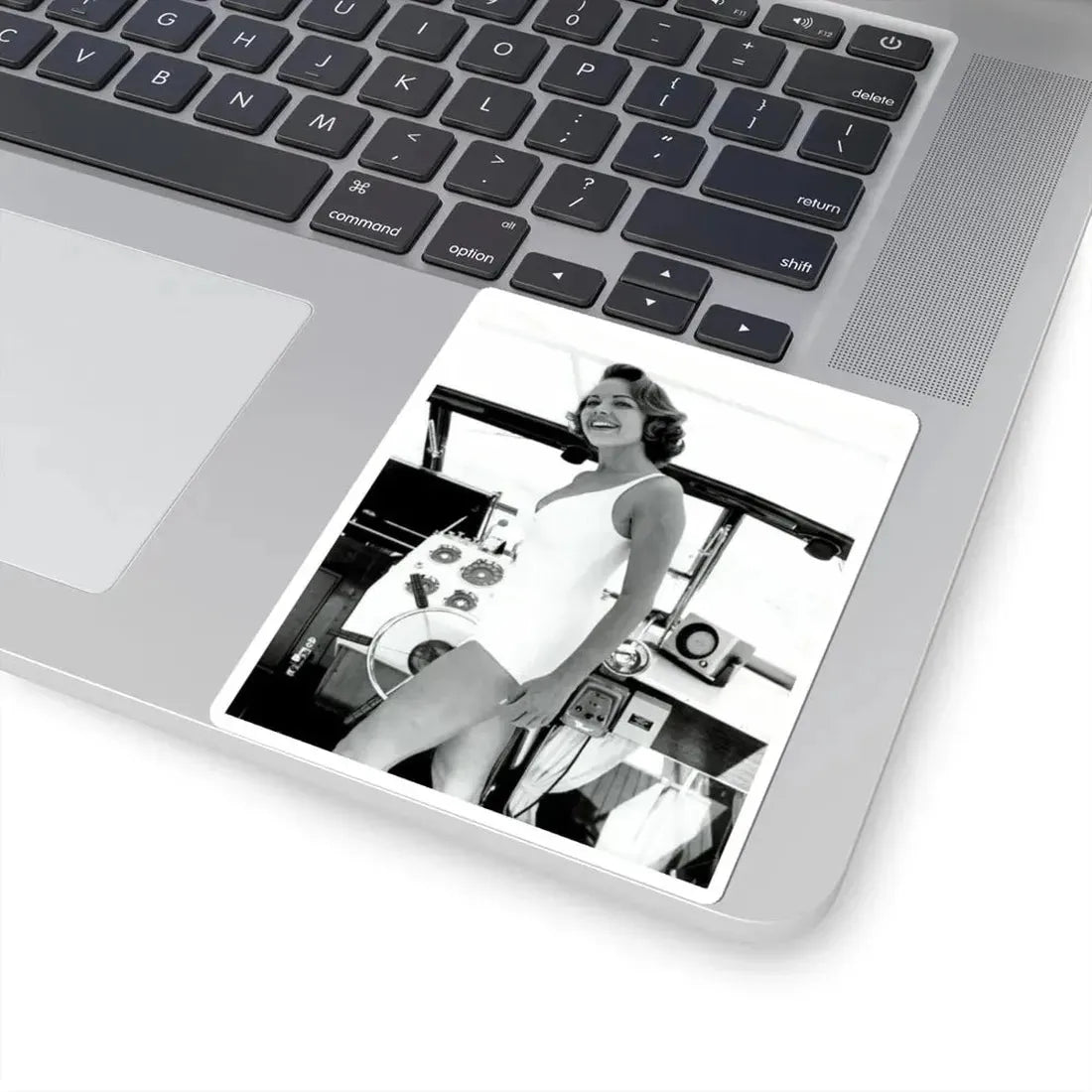 Terry Moore #578 (Vintage Female Icon) STICKER Vinyl Kiss-Cut Decal - The Sticker Space