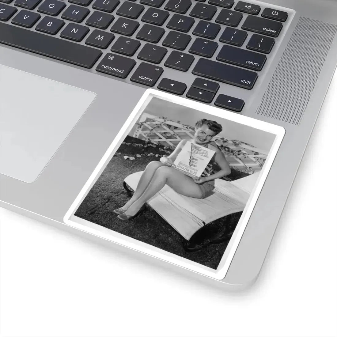 Terry Moore #582 (Vintage Female Icon) STICKER Vinyl Kiss-Cut Decal - The Sticker Space