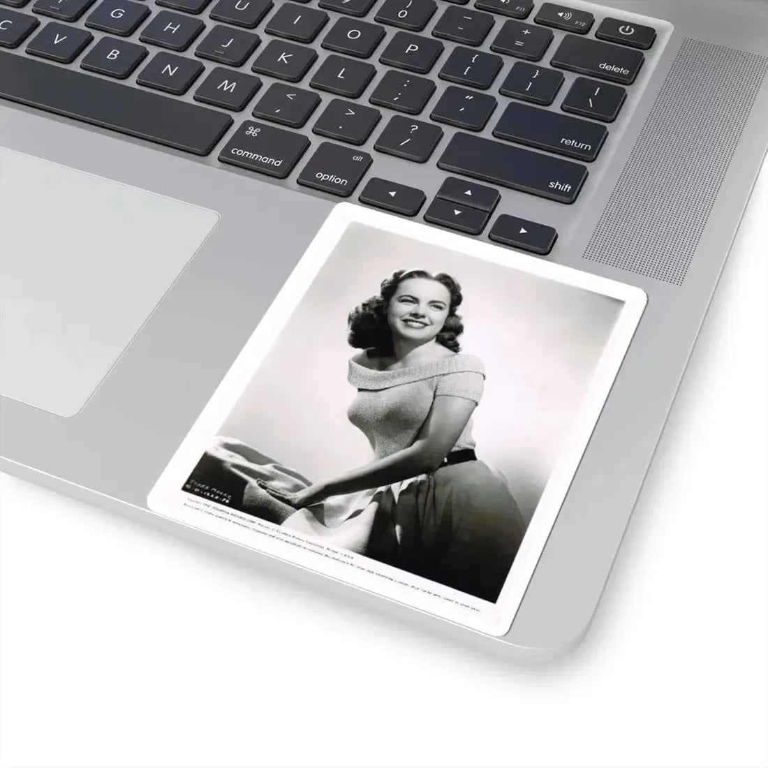 Terry Moore #584 (Vintage Female Icon) STICKER Vinyl Kiss-Cut Decal - The Sticker Space