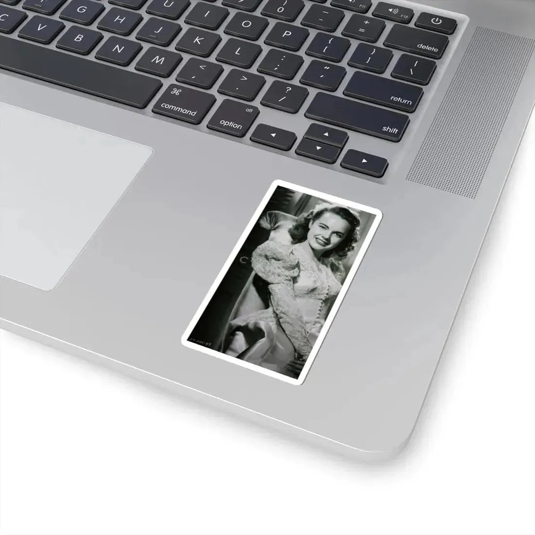 Terry Moore #585 (Vintage Female Icon) STICKER Vinyl Kiss-Cut Decal - The Sticker Space