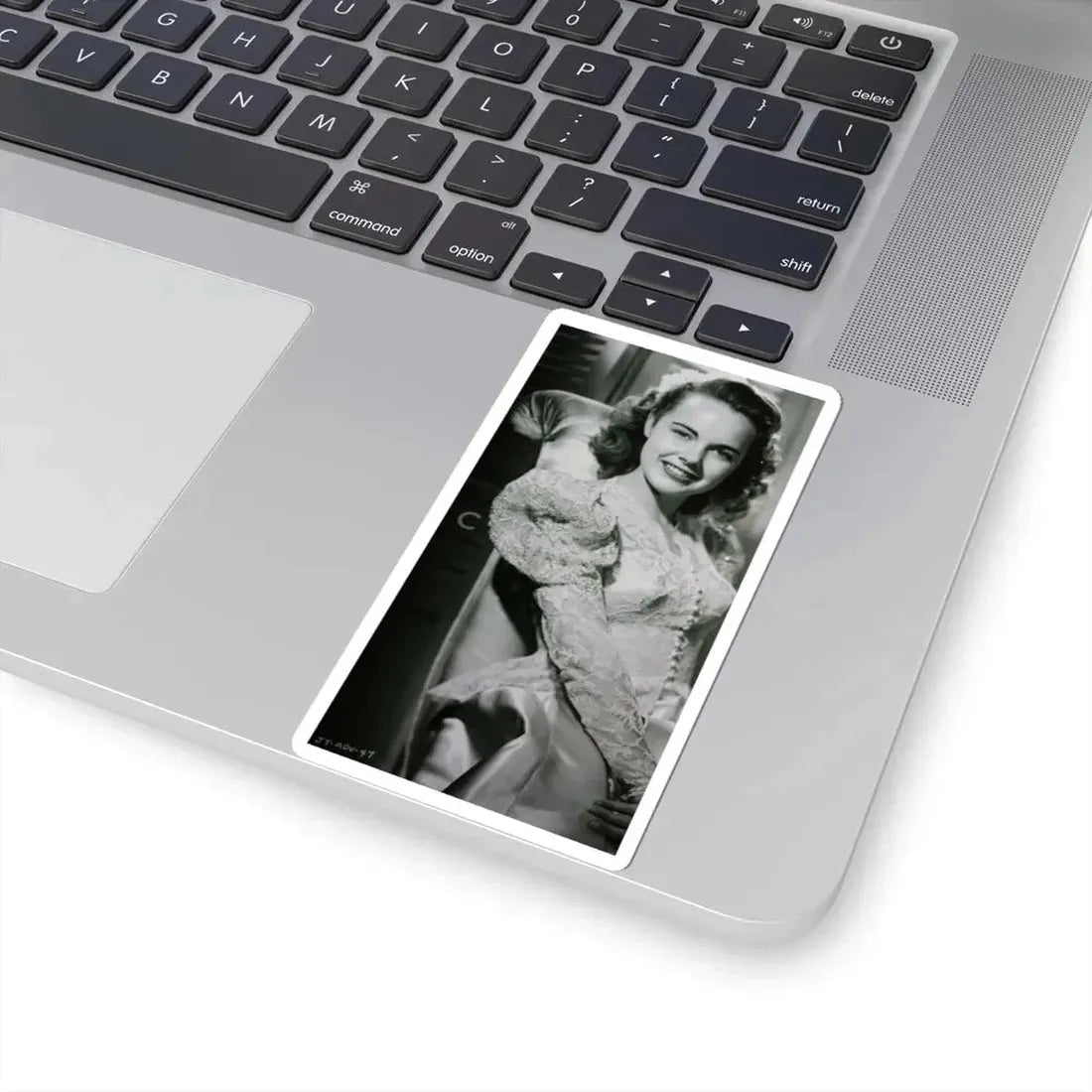 Terry Moore #585 (Vintage Female Icon) STICKER Vinyl Kiss-Cut Decal - The Sticker Space