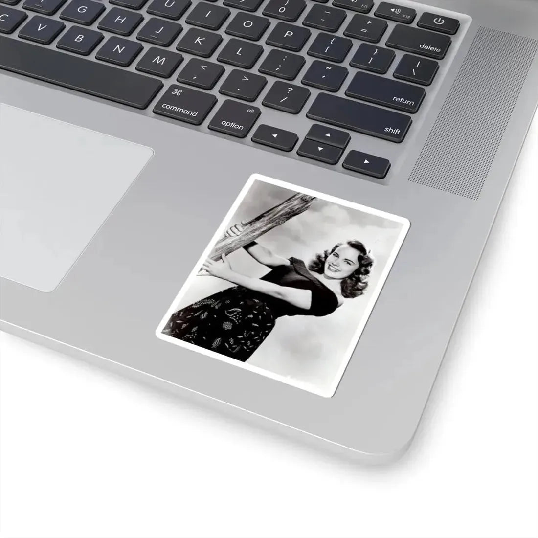 Terry Moore #607 (Vintage Female Icon) STICKER Vinyl Kiss-Cut Decal - The Sticker Space