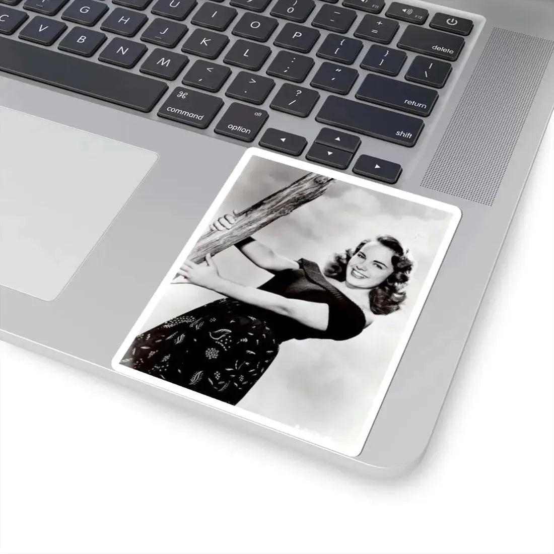 Terry Moore #607 (Vintage Female Icon) STICKER Vinyl Kiss-Cut Decal - The Sticker Space
