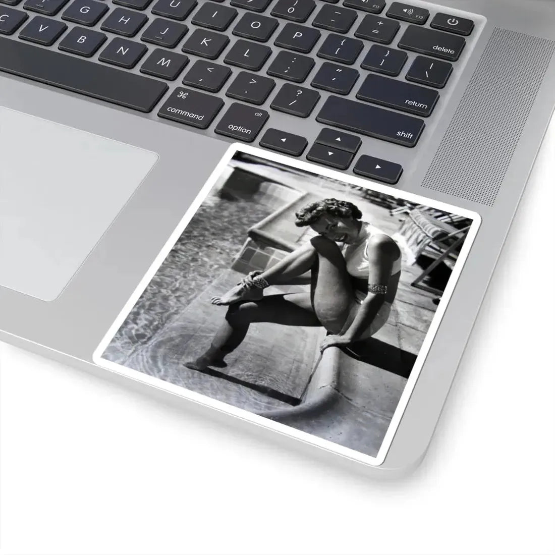 Terry Moore #608 (Vintage Female Icon) STICKER Vinyl Kiss-Cut Decal - The Sticker Space