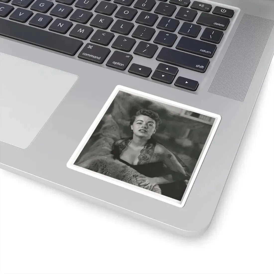 Terry Moore #610 (Vintage Female Icon) STICKER Vinyl Kiss-Cut Decal - The Sticker Space