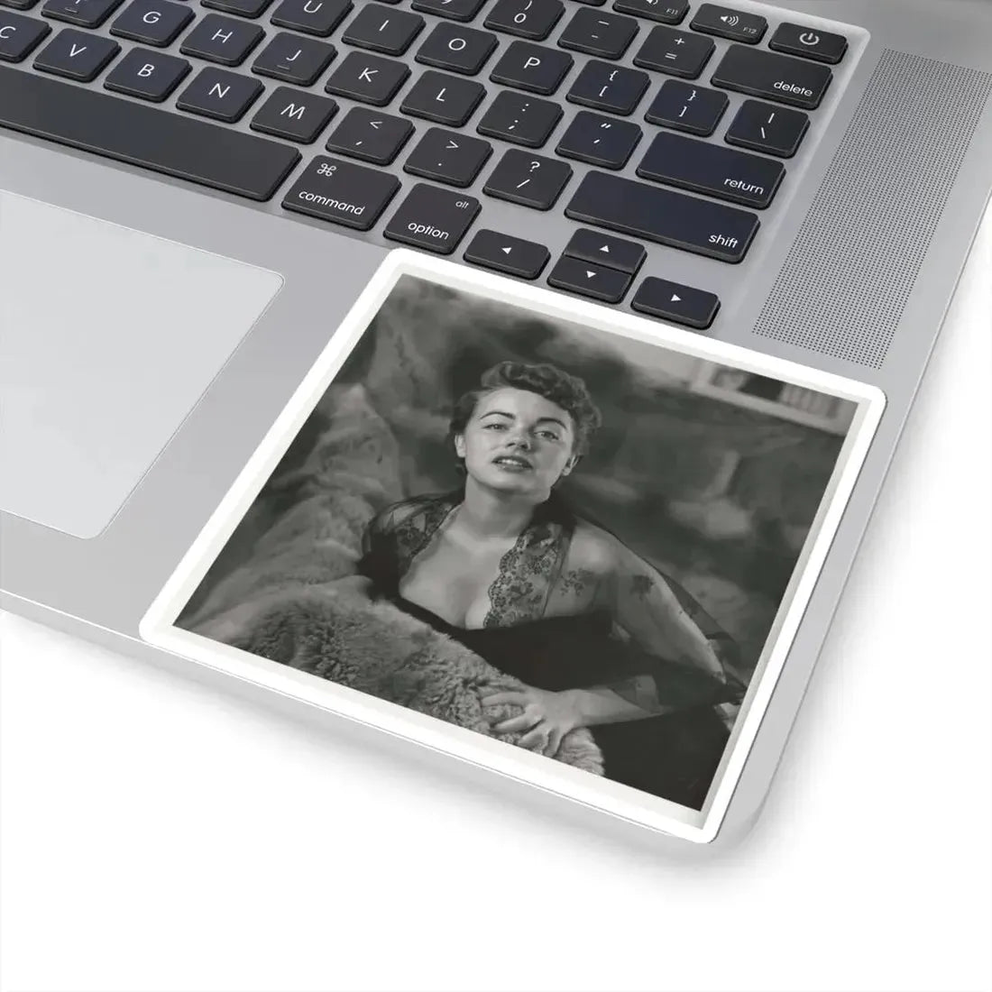 Terry Moore #610 (Vintage Female Icon) STICKER Vinyl Kiss-Cut Decal - The Sticker Space