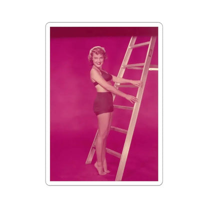 Terry Moore #613 (Vintage Female Icon) STICKER Vinyl Kiss-Cut Decal 3 Inch White - The Sticker Space