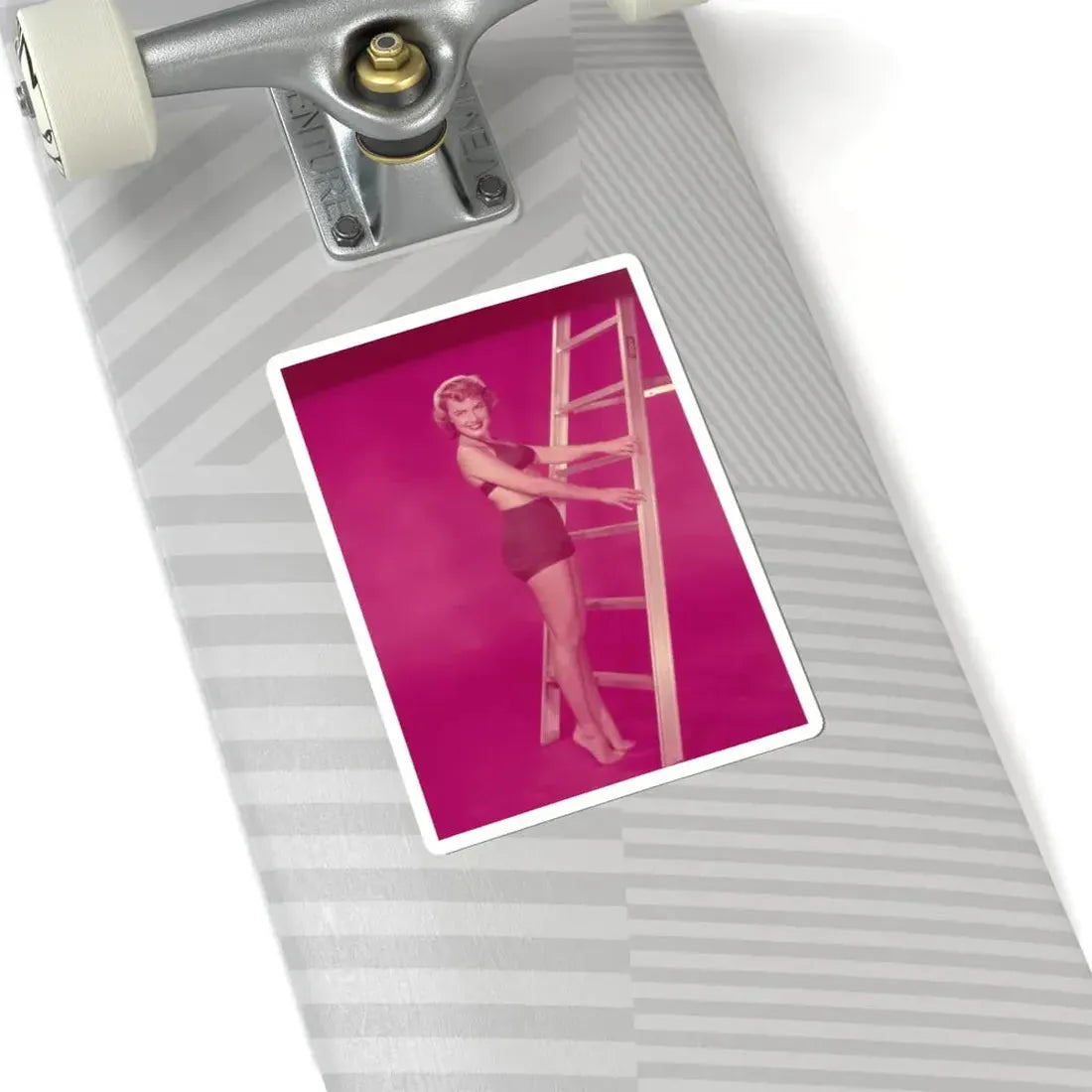 Terry Moore #613 (Vintage Female Icon) STICKER Vinyl Kiss-Cut Decal - The Sticker Space