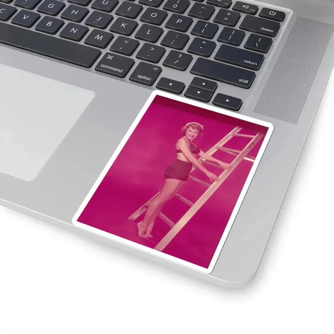 Terry Moore #613 (Vintage Female Icon) STICKER Vinyl Kiss-Cut Decal - The Sticker Space