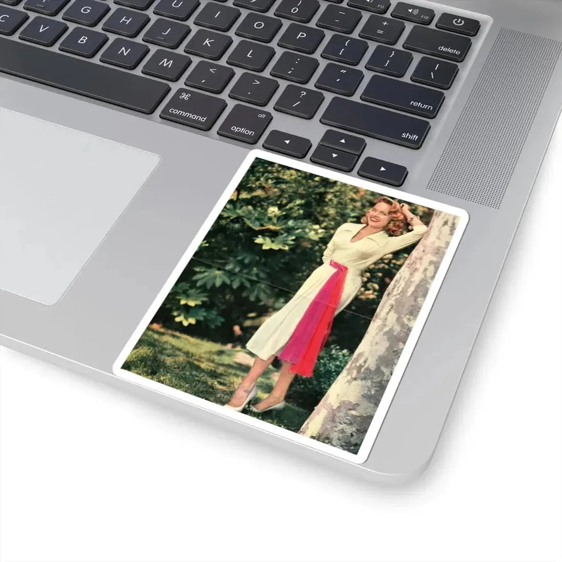 Terry Moore #616 (Vintage Female Icon) STICKER Vinyl Kiss-Cut Decal - The Sticker Space